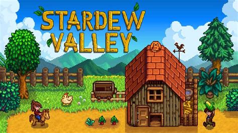 stardew valley videur.